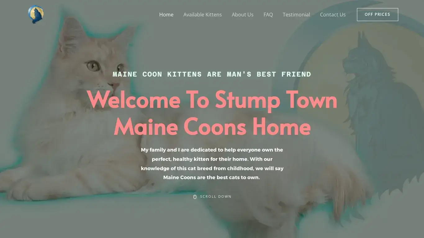 is Stump Town Maine Coons – maine coon kittens for sale legit? screenshot