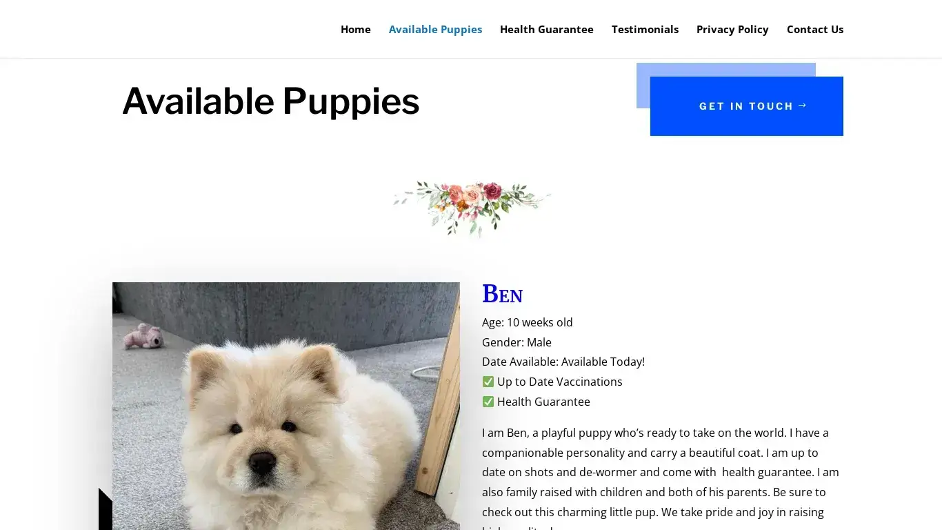 is The Champion Chows | Buy chow chow puppies legit? screenshot
