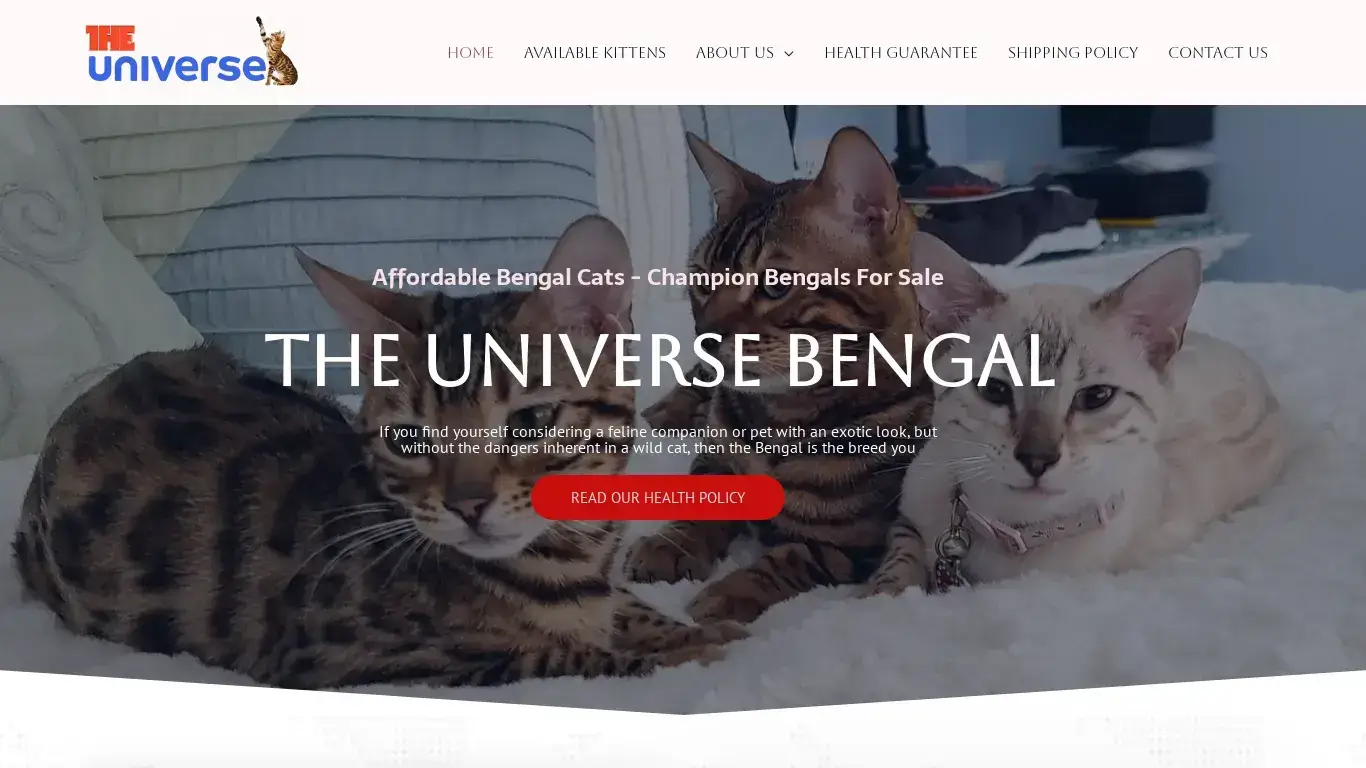 is The Universe Bengals – Quality, affordable, healthy bengal kittens, free nationwide transport & lifetime support. legit? screenshot