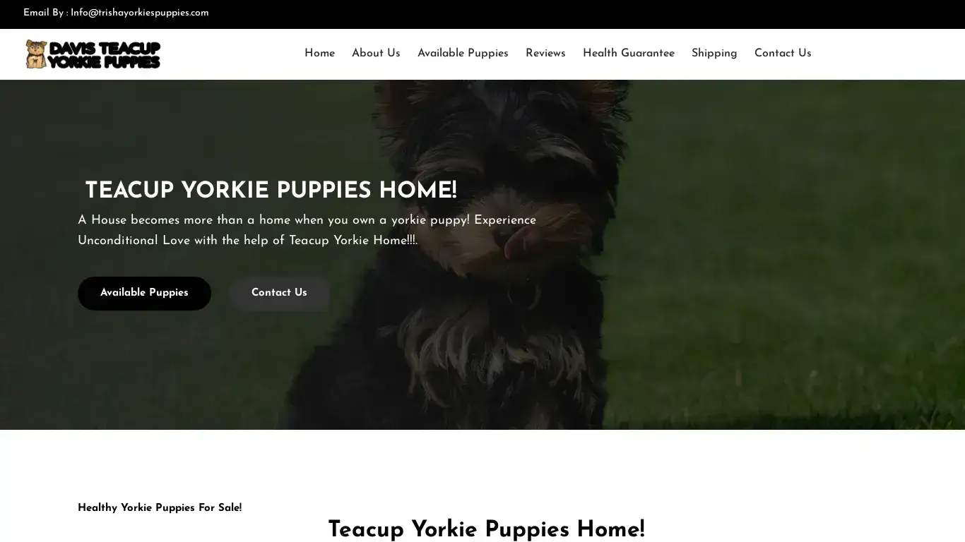 is Welcome | Registered Yorkie Puppies for sale |
 teacupyokiesadoptioncenter.wuaze.com legit? screenshot