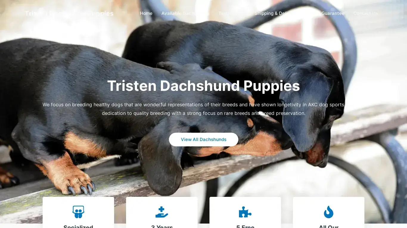 is Tristen Dachshund Puppies – Purebred Dachshund Puppies For Sale legit? screenshot