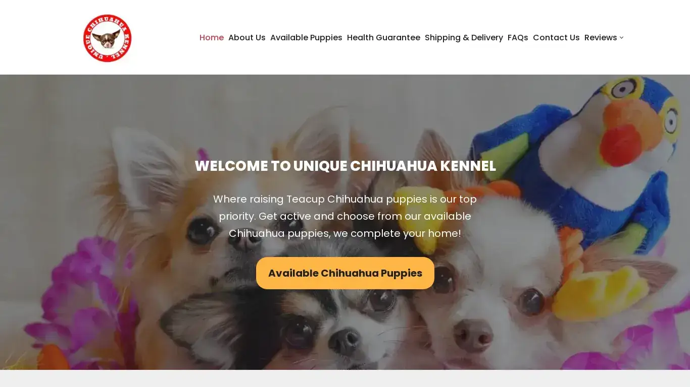is Unique Chihuahua Kennel – Chihuahua Puppies For Sale legit? screenshot