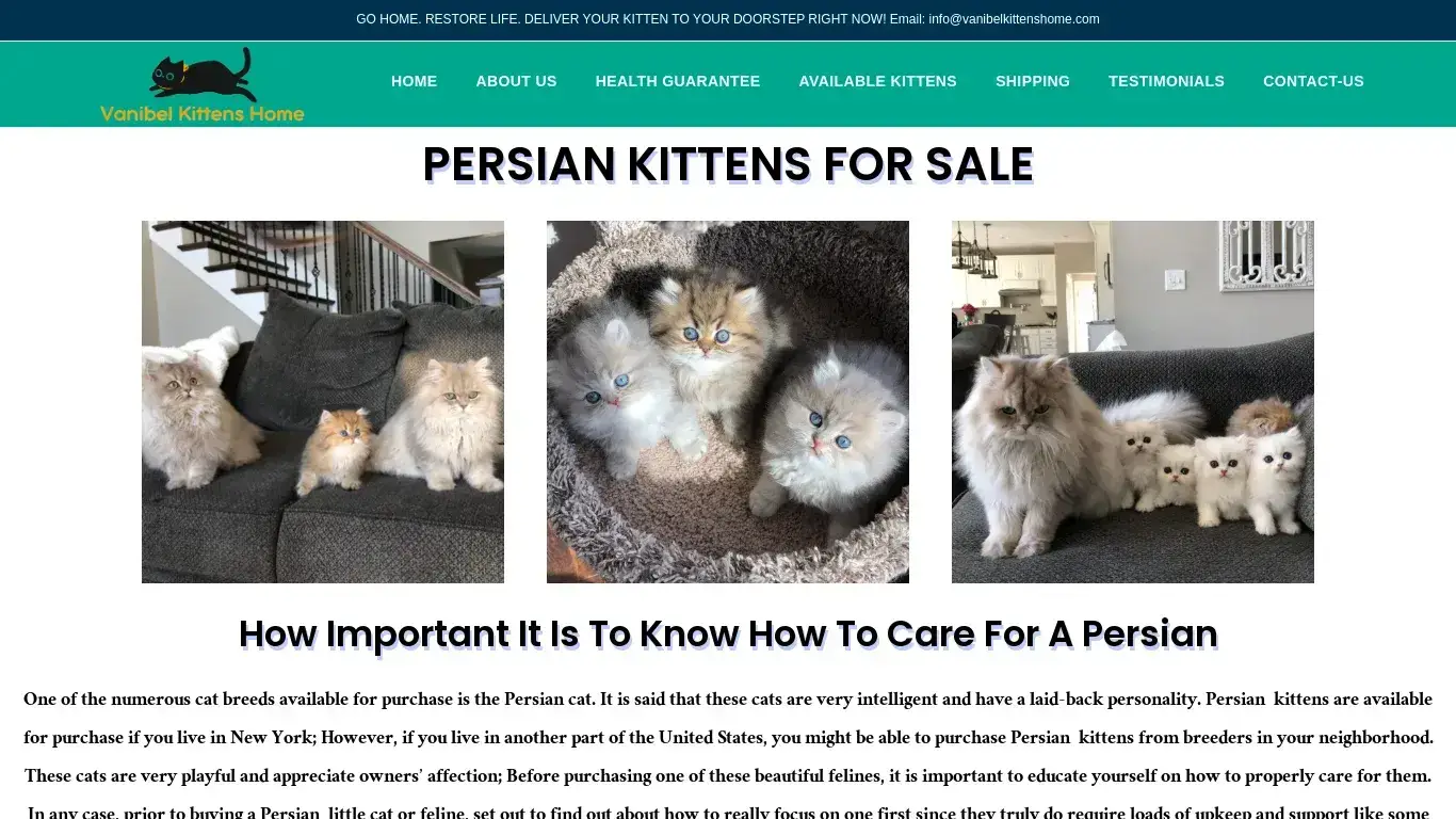 is Persian kittens for sale – Persian kittens near me legit? screenshot