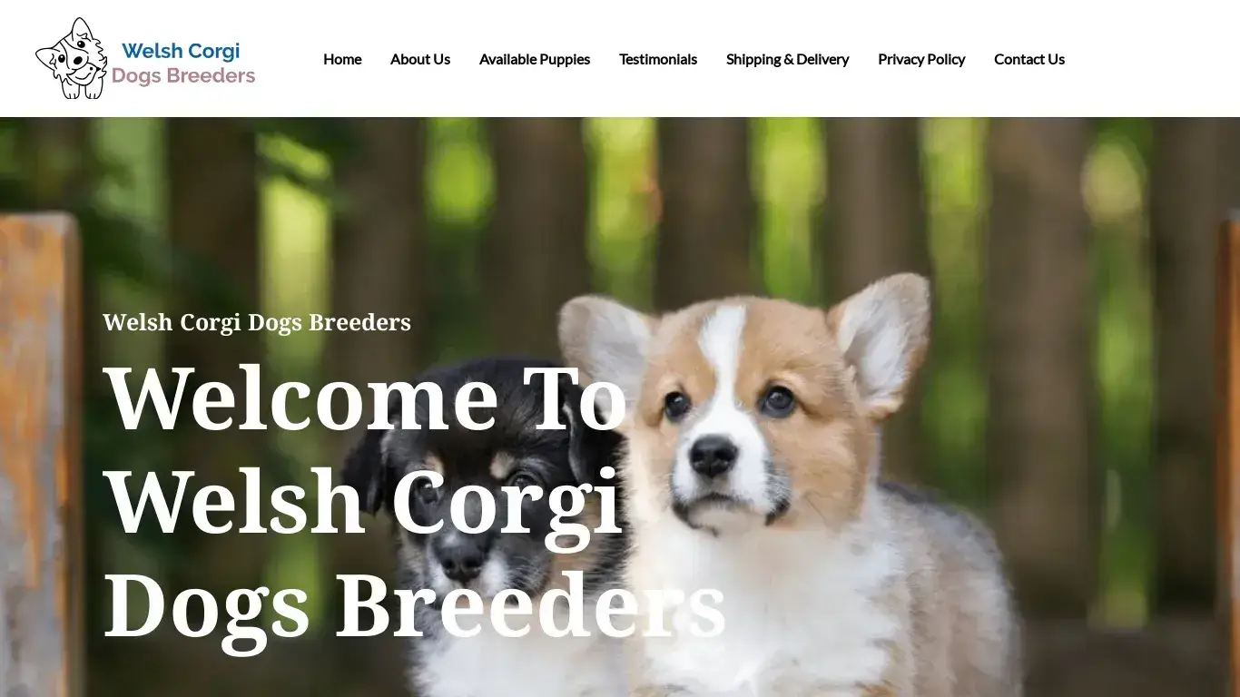 is Welsh Corgi Dogs Breeders legit? screenshot