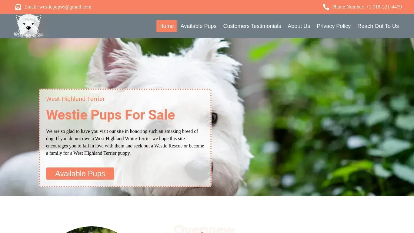 is westiepupsforsale.com – Westie Pups For Sale legit? screenshot