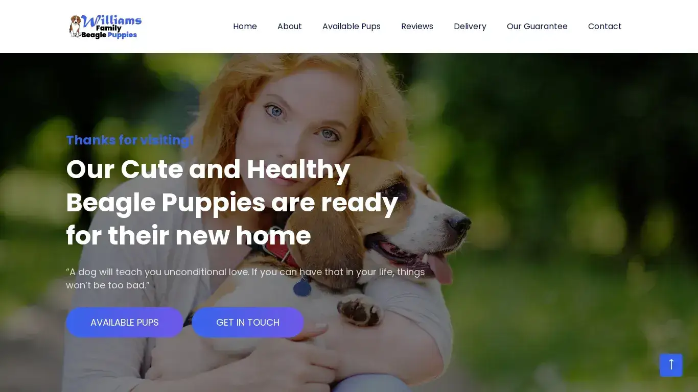is Home | Williams Family Beagle Puppies legit? screenshot