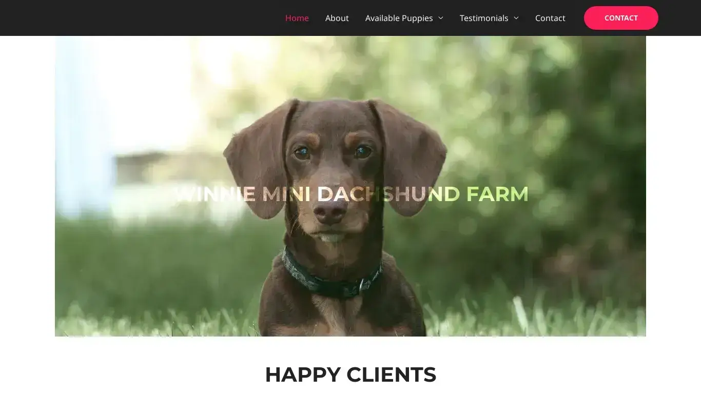 is Winnie Mini Dachshund Farm – Winnie Mini Dachshund Farm legit? screenshot