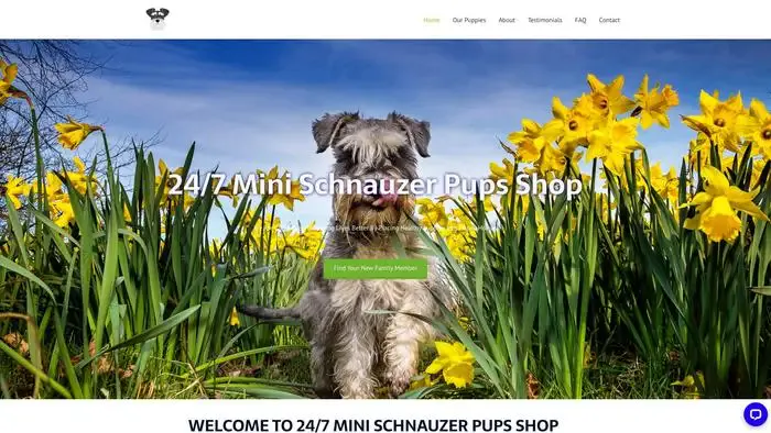 Screenshot of