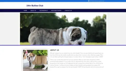 Screenshot of