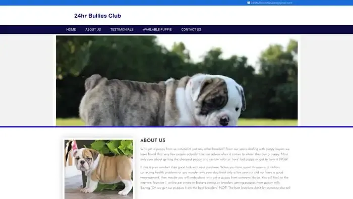 Screenshot of