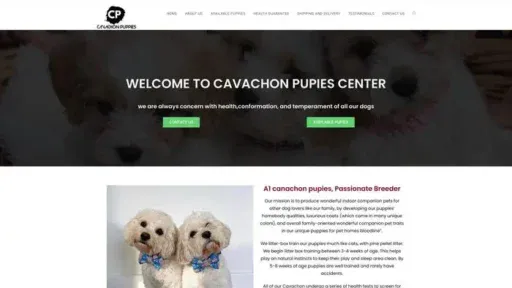 Screenshot of