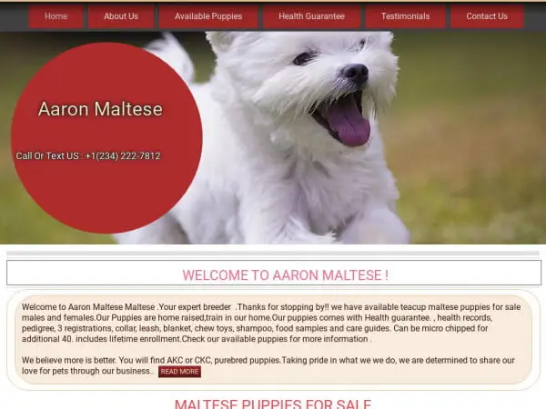Screenshot of