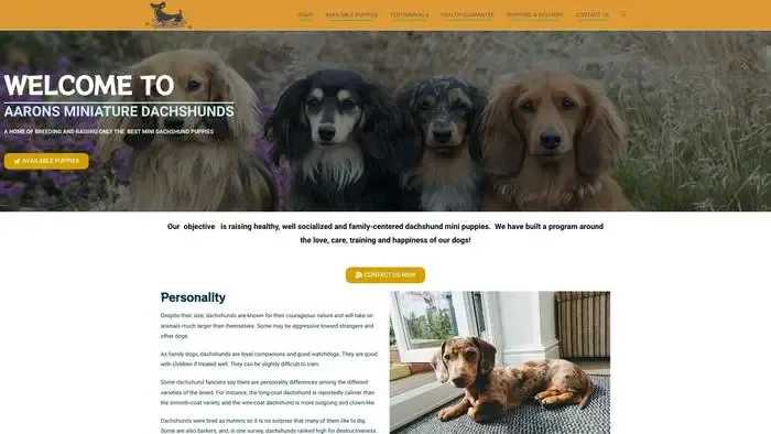 Screenshot of
