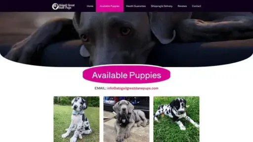 Screenshot of