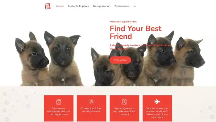 Screenshot of