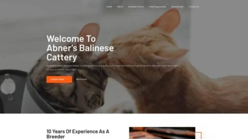 Screenshot of||