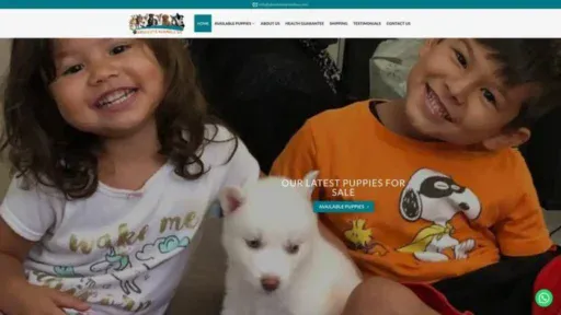 Screenshot of||