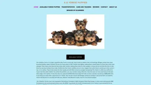 Screenshot of