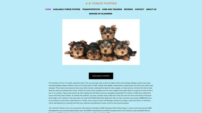 Screenshot of