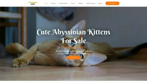 Screenshot of||