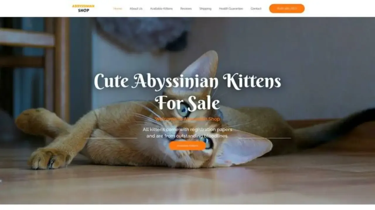 Abyssinianshop