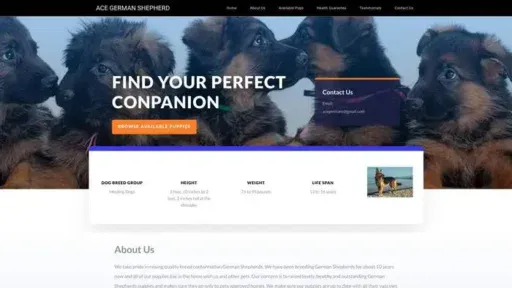 Screenshot of