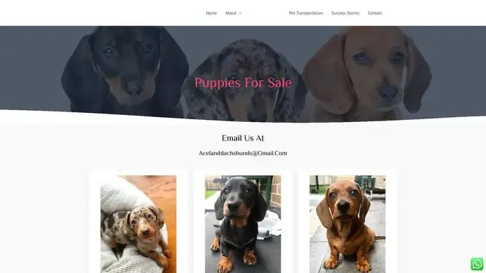 Screenshot of