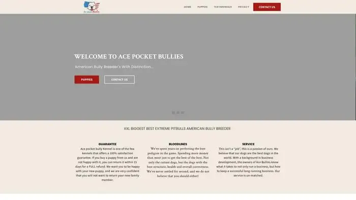 Screenshot of