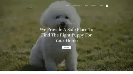 Screenshot of
