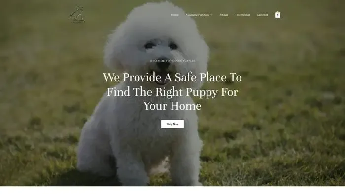 Screenshot of