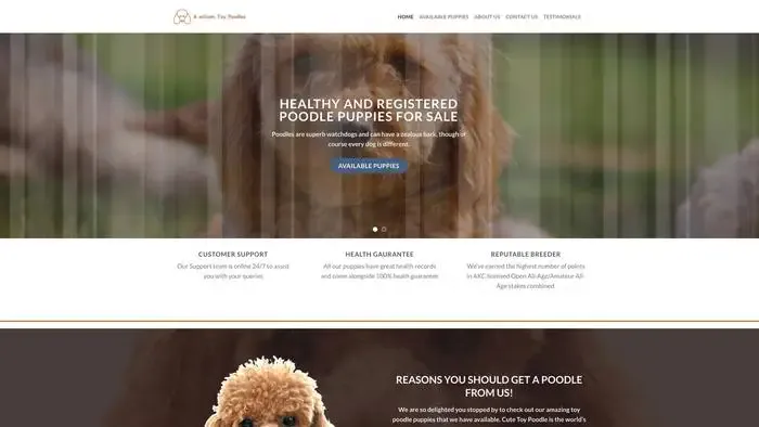 Screenshot of