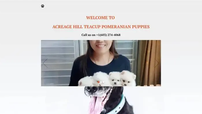 Screenshot of