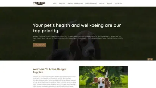Screenshot of