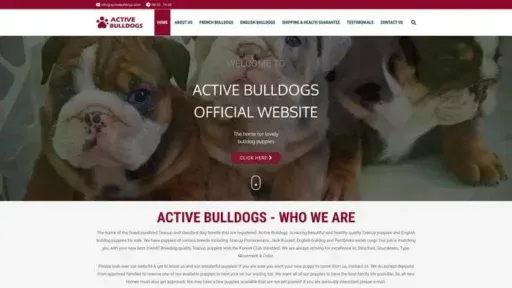 Screenshot of
