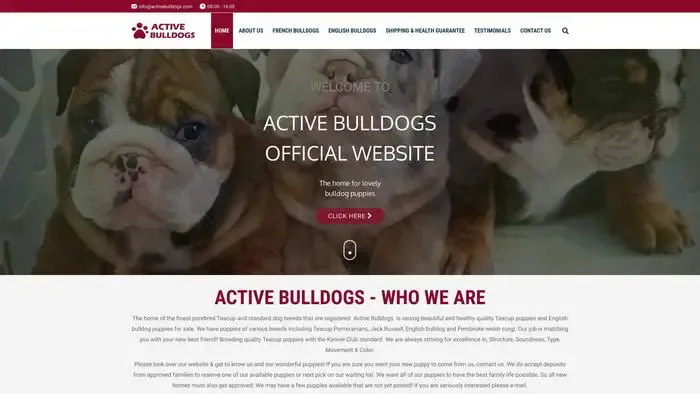 Screenshot of
