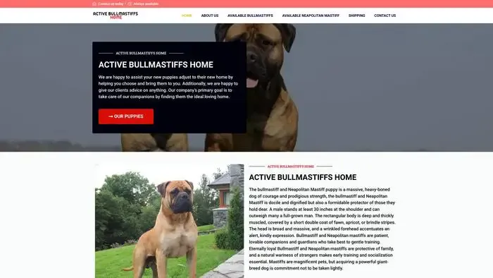 Screenshot of