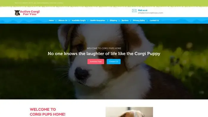 Screenshot of