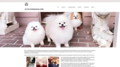 Screenshot of