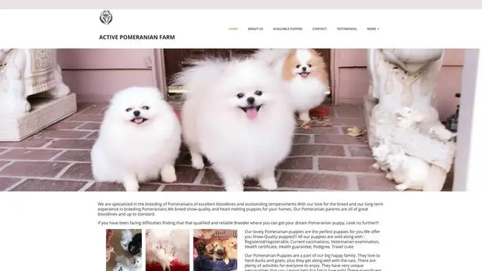 Screenshot of