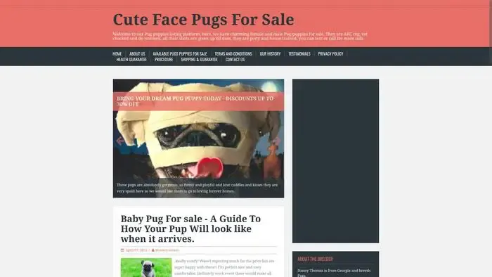 Screenshot of