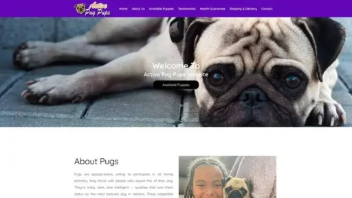 Screenshot of