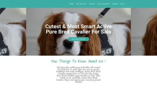Screenshot of