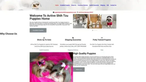 Screenshot of