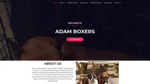 Screenshot of