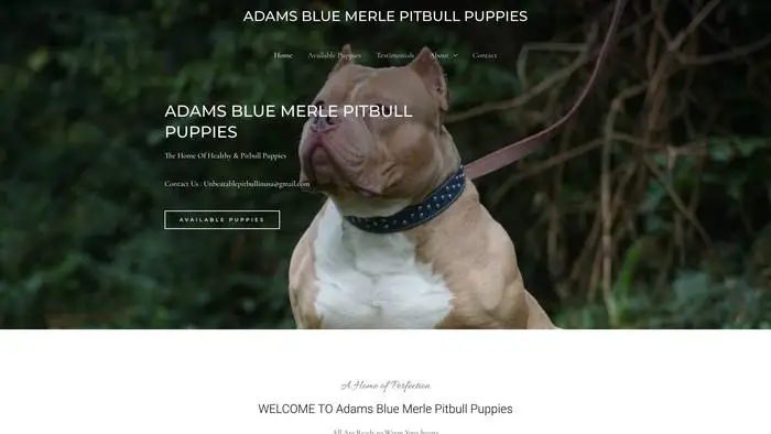Screenshot of