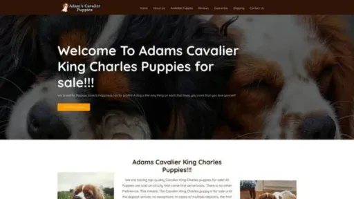 Screenshot of||