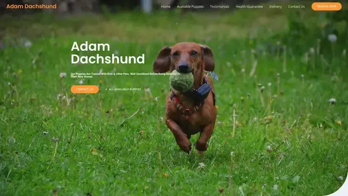 Screenshot of