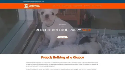 Screenshot of