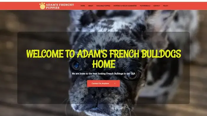 Screenshot of