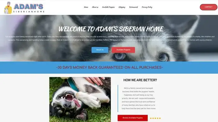 Screenshot of